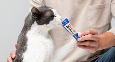 Thoughtfully Crafted For Your Pet