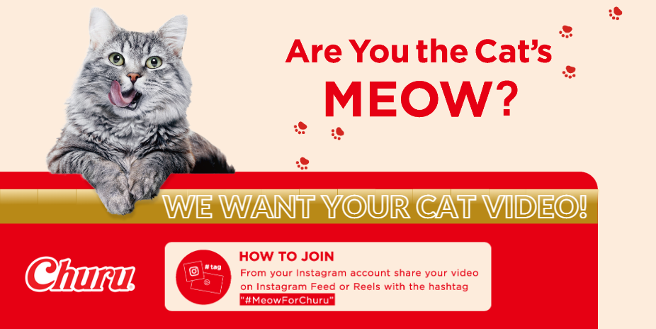 Are You the Cat’s Meow?